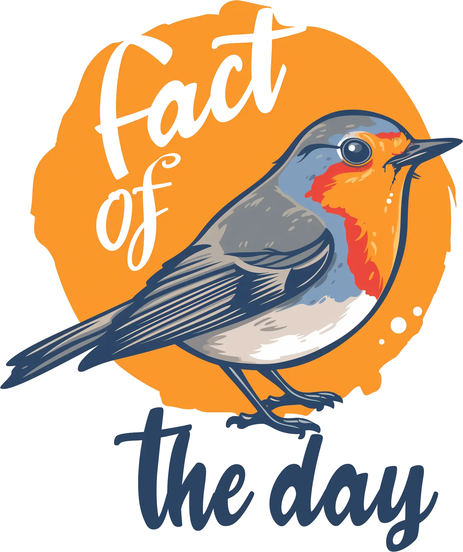 Robin Tales Fact Of The Day